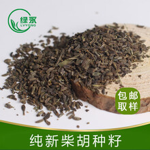 柴胡种子纯新中药材种苗北黑柴胡种籽保证发芽率提供种植技术 柴胡一斤