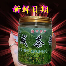 食怀海丰咸茶粉 冲泡 薄荷茶 潮汕擂茶罐装 海陆丰特产汕尾擂茶粉客家 【200g】X1瓶