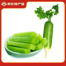 鸢语山东潍坊萝卜净重2.25kg 单果250克+ 青萝卜潍县萝卜源头直发包邮