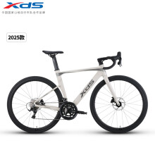 喜德盛（xds）公路车25-AD300油碟UCI车架2x10速中空一体牙盘桶轴车白蛇450MM