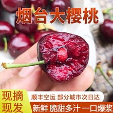 仙献鲜山东烟台美早大樱桃车厘子【多地次日达】当季新鲜水果整箱批发 2.7斤(净重) 3J超大果【30-32MM】轻奢享受