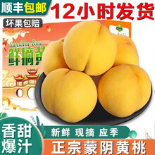 正宗锦绣黄桃【顺丰】红心黄肉黄毛桃黄金蜜桃当季水果爆汁 2斤 A+级大果｜香甜爆汁