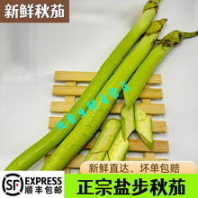 桃西村 广东特产盐步秋茄当季绿茄新鲜长茄子观音手指农场直发新鲜蔬菜 1000g