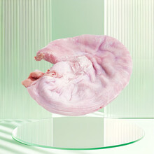 楚甄鲜恩施黑猪猪肚净重2斤（共2个）免洗猪肚子猪肚鸡肚包鸡源头直发