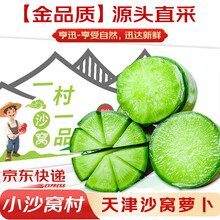 卫青沙窝正宗天津沙窝萝卜水果萝卜特产绿青萝卜根茎类新鲜蔬菜 净重9斤礼盒装 （单袋绿色认证）