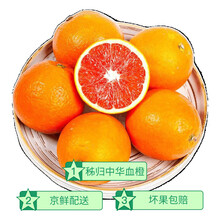 京格（JINGGE）正宗中华血橙 红橙红肉脐橙当季孕妇新鲜水果薄皮手剥雪橙 4kg 甄选果 【礼盒款】 颗颗精选 保鲜到家