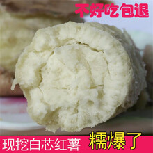 [商南助农馆] 农家自种白芯红薯地瓜板栗香 2.5kg
