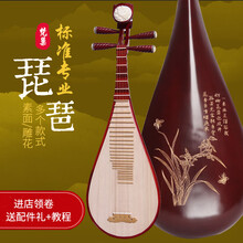 梵巢 儿童 初学入门 练习成人 琵琶 乐器 PP-01 红色上漆 硬木 梧桐木 面板 学生 演奏用琴 红木专业成人琵琶花鸟款
