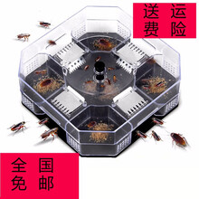 蟑螂捕捉器灭除蟑螂药家用蟑螂屋全窝端灭蟑清厨房 蟑螂捕捉器
