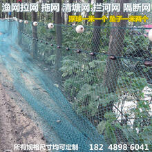 萌肉居 渔网拉网清塘小型捕鱼网抬网网箱拦河网围网刮网定做 3米高40米长12股2厘米