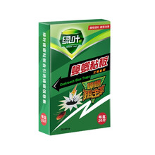 绿叶蟑螂粘板 蟑螂药 蟑螂粘板 物理杀灭蟑螂贴杀蟑螂连窝端 20片/盒 1盒蟑螂粘板 100片五盒装