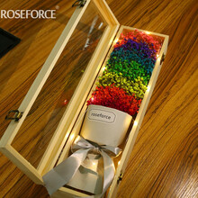 ROSEFORCE 满天星干花花束礼盒 创意礼物 七夕情人节 送女友爱人同学生日礼品北京花店鲜花速递 彩虹满天星花小实木盒
