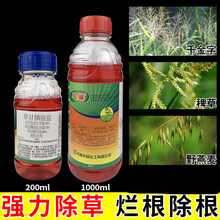 草甘膦异丙胺盐除草烂根神剂果园荒地杂草杀大树灭草剂打草药 200ml