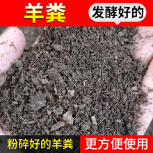 绿野夫人 腐熟羊粪有机肥羊粪蛋颗粒羊粪盆栽通用发酵羊粪粉末花肥料 粉末羊粪肥9斤装