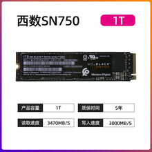 【京选推荐】西部数据SN550 SN750 SN850  250G 500G 1T M.2 固态硬盘 桔色