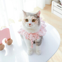 小猫咪衣服宠物春夏季无袖薄款衣服宠物虎斑折耳布偶猫咪可爱夏天的两脚装 粉百褶蝴蝶结两脚装 XS-胸围30cm