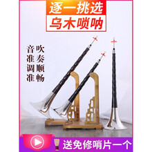 唢呐乐器唢呐乐器 初学者/ 成人 全套 E/降E/D/C降b调 E调 套餐三