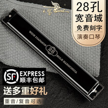 进口音簧口琴高级天鹅28孔宽音域成人专业演奏级复音重音儿童初学者重音男女口琴乐器 演奏级复音黑色C调【学习礼包】