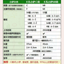 8孔小萨迷你萨克斯风高音初学者降E调中音笛头便携式口袋直管乐器ONEVAN 8孔C调小萨(改进版更易吹.款)