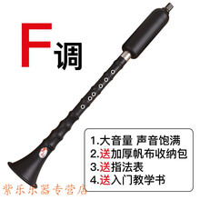 巴乌乐器竖吹专业演奏小学生初学入门大音量G/F调 单管乐器 F调+包+指法表+入门教学书