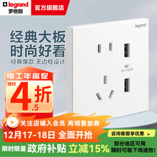 罗格朗（LEGRAND）开关插座面板 仕典系列玉兰白色86型暗装 五孔带双USB口充电 插座