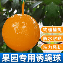 空消 诱球沾虫球瓜果实蝇球 捕杀桔小实蝇针蜂沾马蜂诱蝇球瓜果实蝇粘虫球捕柑橘针蜂沾马蜂灭贴粘果蝇球 20个