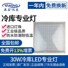 亚名LED冷库射灯30wLED30w投射灯户内户外投光灯防水防潮投射灯照明灯强光射灯厂房仓库用灯 30W冷库LED灯