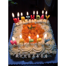 生日蛋糕烟花蜡烛 商品搜索 京东