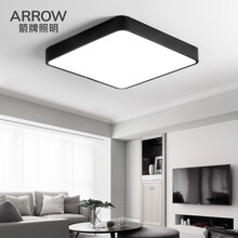 箭牌照明（ARROW）客厅灯卧室灯led吸顶灯 客厅灯餐厅灯卧室简约现代 哑黑 单色白光 50*50*5cm 40W