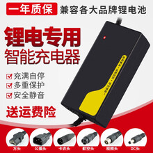 锂电池充电器24V36V48V60V54.6V67.2V滑板车代驾车独轮哈雷电动车 24V2A DC头