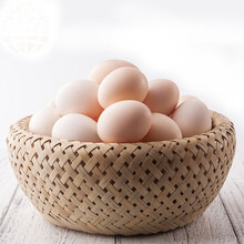 湖北揭牌首批31家省级概念验证中心8家企业运营主体入选