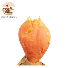 [兰考农特产馆]红薯 蜜薯 新鲜地瓜 软糯无丝 农家自种 大果（强烈推荐煮汤喝） 2斤尝鲜装
