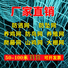 塑料养鸡网家禽养殖网天网拦鸡鸭网防护网菜园围栏网尼龙网汐岩 养鸡网1.5米高*30米长