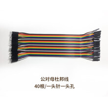 德飞莱 单芯杜邦线 20cm 40根一排 单片机开发板 公母杜邦线40根