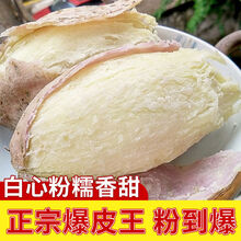 板栗红薯 冰淇淋红薯 白心地瓜 3斤番薯批发 爆粉王薯3斤【中果】高品质爆粉王