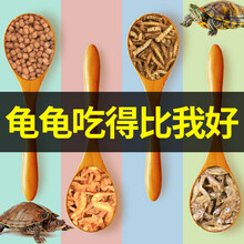 绿伴 乌龟饲料巴西龟草龟猪鼻龟粮食乌龟食龟料饲料通用幼龟补钙龟粮 400ML小颗粒龟粮