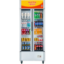 澳柯玛（AUCMA）商用展示柜 冷藏立式保鲜柜 超市冷藏柜啤酒饮料柜陈列柜玻璃门冷藏双门展示冰箱冷柜 477L 双门 LSC-519D