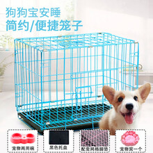 唐宠 狗笼子小型犬猫笼子泰迪比熊贵宾中型犬猫咪笼子狗笼兔笼可折叠宠物笼 35*26*32（蓝色） 带托盘（无礼品）