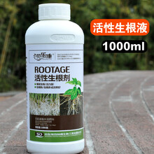 快速生根粉生根剂植物通用生根液大树移栽壮苗剂花卉苗木扦插生根 1000毫升 活性生根液