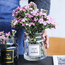 巧心师 ins北欧花瓶 小清新透明玻璃鲜花盆花器富贵竹装饰品摆件餐桌办公桌情人节装饰可插花绿植客厅