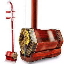 派尼美特成人红木二胡乐器 演奏级红花梨二胡手工蟒皮琴皮初学入门练习民族乐器 红木雕花款+锦盒+书+白马尾弓+双管调音器+