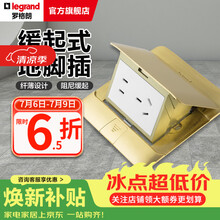 罗格朗（LEGRAND）电工电料五孔地插座隐藏式地插地板地面插座 液压缓冲铜五孔地插（不含底盒）