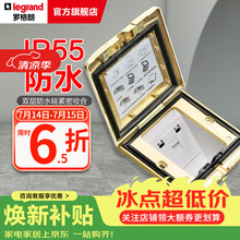 罗格朗（LEGRAND）电工电料五孔地插座隐藏式地插地板地面插座 金色IP55六类网络地插（含底盒）
