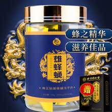 北京同仁堂九宝茶加夏末秋初雄蜂蛹冻干片冻干粉蜂王胎片 一罐雄蜂蛹+贈九宝茶1盒
