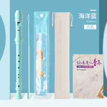 天鹅德式竖笛8孔6孔儿童小学生入门初学练习高音八孔六孔笛子乐器 6孔竖笛蓝色标配