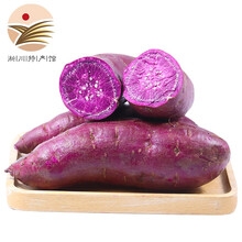 [淅川馆]紫薯 新鲜番薯 地瓜农家蜜薯新鲜蔬菜健康轻食 小紫薯带箱10斤装