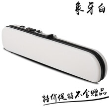 新型双肩背二胡盒子树脂琴盒防盗密码锁湿度计二胡硬包配件 象牙白