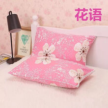 枕头学生单人一只装枕芯送枕套宿舍日式卡通可爱成人男女孩青少年 【60*40花语】1枕芯+1枕套