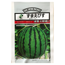 民汇园水果籽麒麟瓜种子中华宝冠 冰糖玉麒麟F1 正宗8424西瓜种子佳美战雷早熟西瓜籽大果可达30斤 冰糖玉麒麟10克/袋