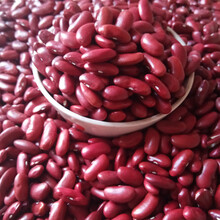 红大豆 商品搜索 京东